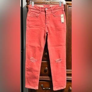 NWT Anthropology Pilcro and the Letterpress distressed jeans